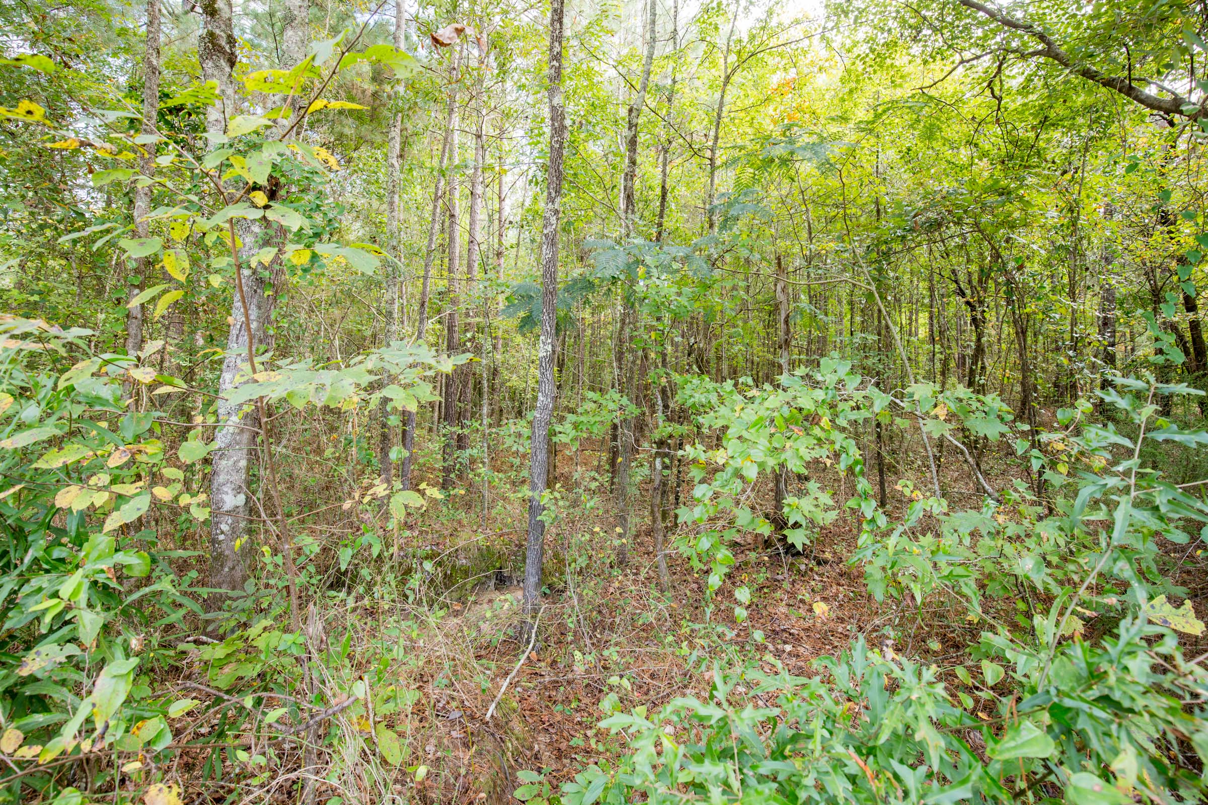 Tract 11 at Sky Ranch in Attala County, Mississippi