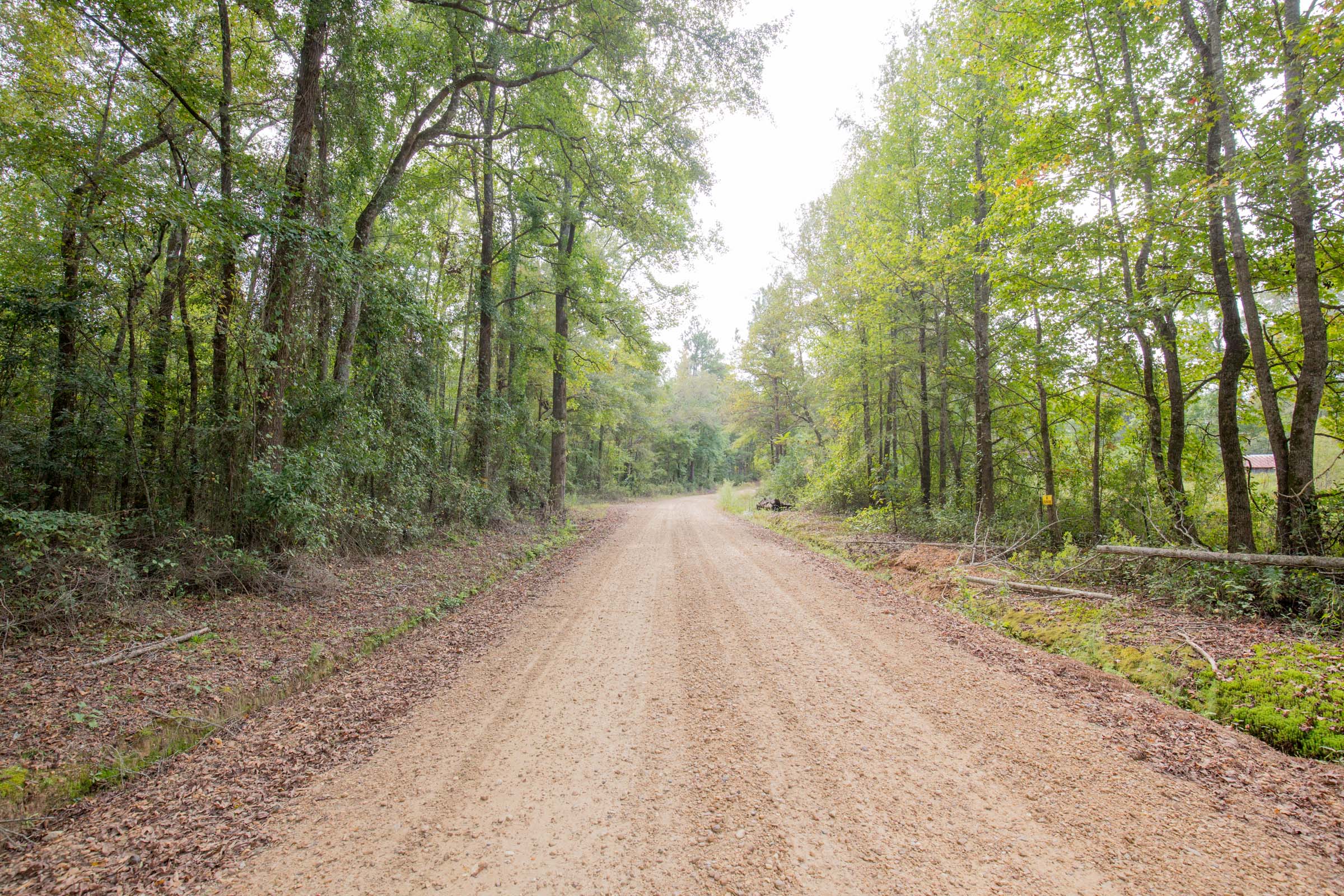 Tract 12 at Sky Ranch in Attala County, Mississippi