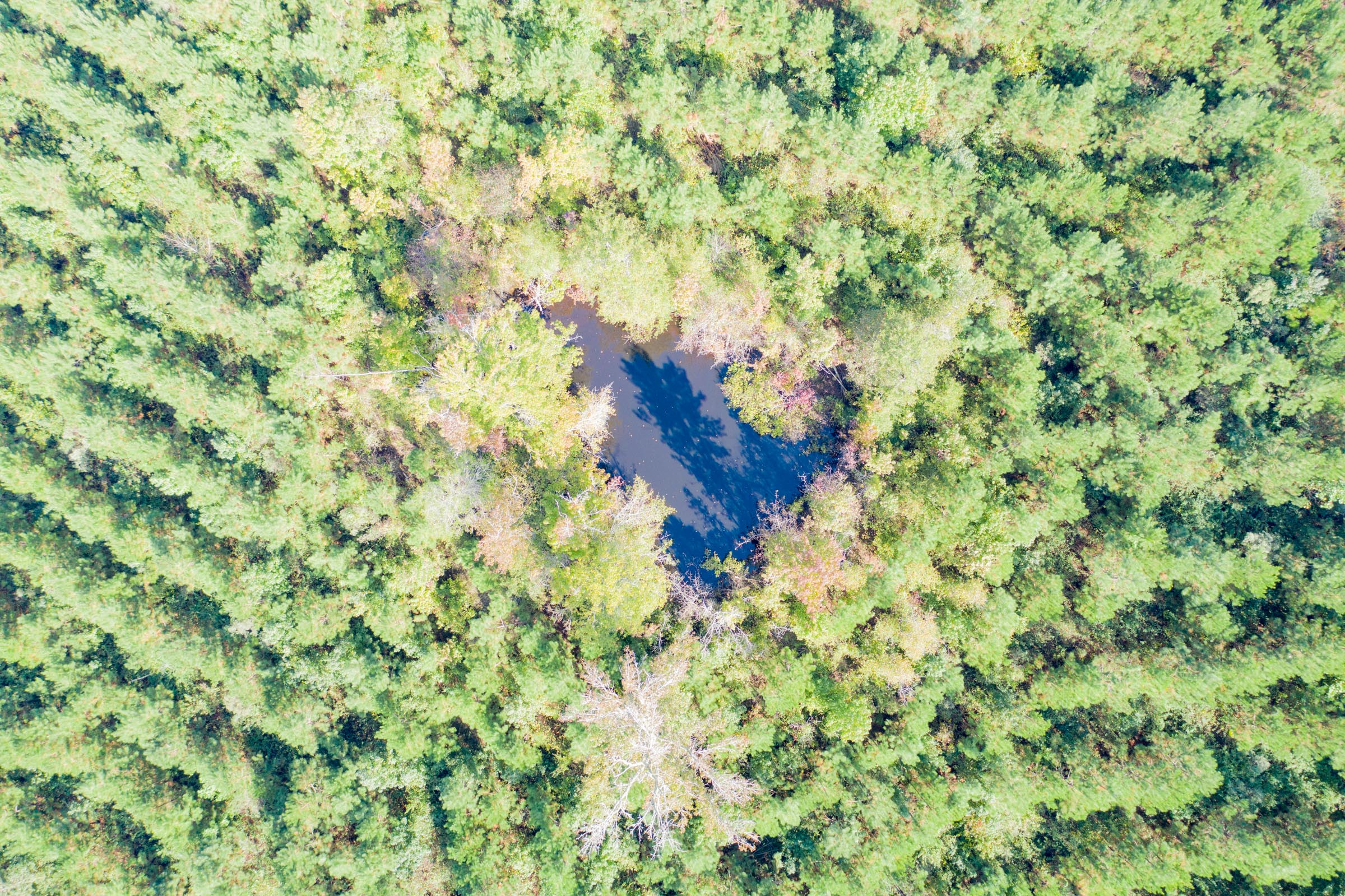 Tract 3 at Sky Ranch in Attala County, Mississippi