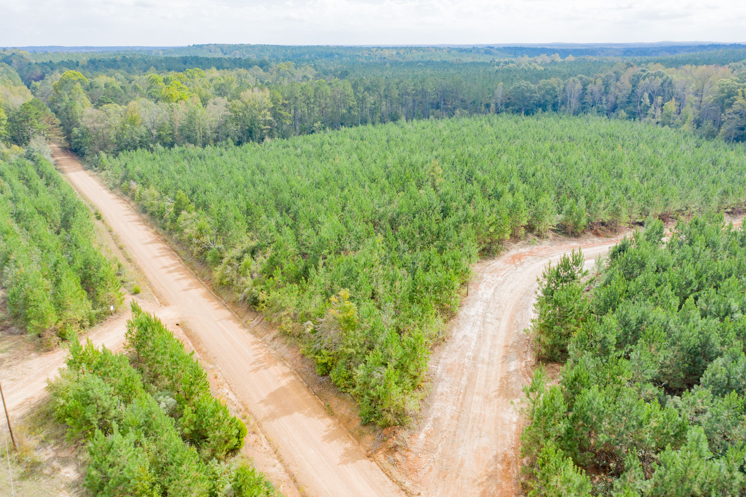 Tract 4 at Sky Ranch in Attala County, Mississippi