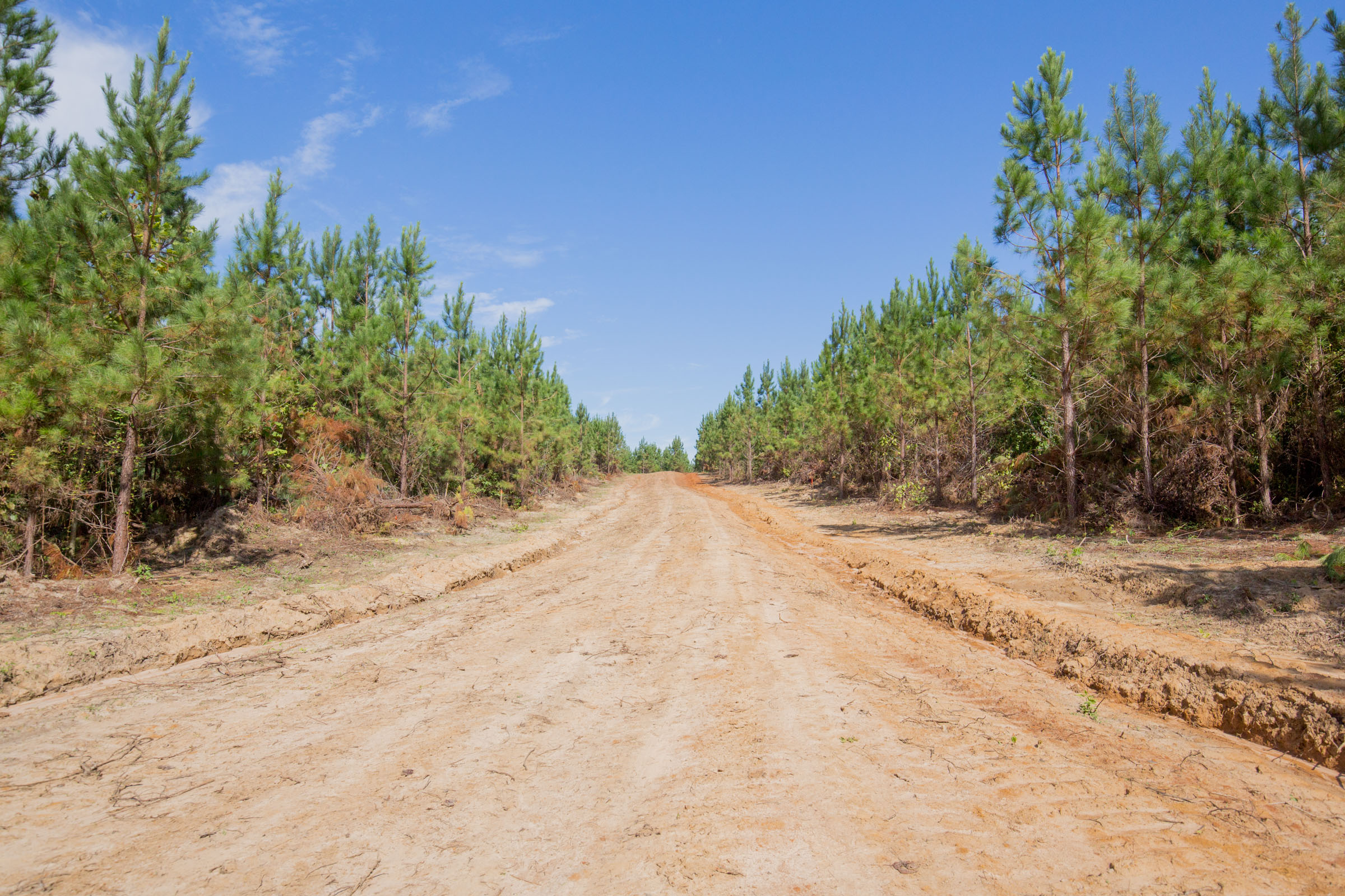 Tract 7 at Sky Ranch in Attala County, Mississippi